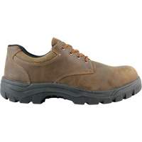 Chaussures de travail Warrior, Pointure 13, Embout Acier, Semelle R&eacute;sistant aux perforations, Cuir GTA Hardware Inc