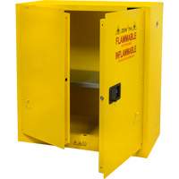 Flammable Storage Cabinet, 30 gal., 2 Door, 43" W x 44" H x 18" D GTA Hardware Inc