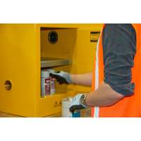 Flammable Storage Cabinet, 4 gal., 1 Door, 17" W x 22" H x 18" D GTA Hardware Inc