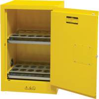 Flammable Aerosol Storage Cabinet, 12 gal., 1 Door, 23" W x 35" H x 18" D GTA Hardware Inc