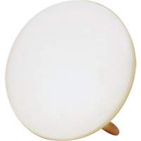 Lampe &agrave; luminoth&eacute;rapie pour le traitement de la d&eacute;pression saisonni&egrave;re GTA Hardware Inc