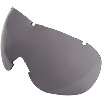 Lentille de rechange pour les lunettes de s&eacute;curit&eacute; &agrave; coques Uvex Sub-Zero, Antibu&eacute;e/anti-&eacute;gratignures, Gris, Uvex Sub-Zero GTA Hardware Inc