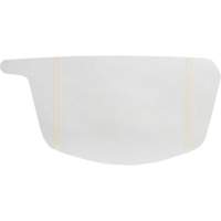Primair&reg; 900 Series Peel-Off Visor Cover GTA Hardware Inc