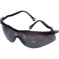 Lunettes de s&eacute;curit&eacute; North The Edge, Lentille Fum&eacute;e, Antibu&eacute;e/Anti-&eacute;gratignures, R&eacute;pond ou surpasse la norme CSA Z94.3 GTA Hardware Inc