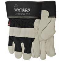 Gants Big Dawg, Petit, Paume en Cuir fleur de vache, Thinsulate GTA Hardware Inc