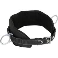 WB-6020-S Dispositif de retenue de s&eacute;curit&eacute; avec ceinture &agrave; deux anneaux en D et support lombaire rembourr&eacute; - Petit GTA Hardware Inc
