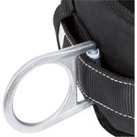 WB-6020-S Dispositif de retenue de s&eacute;curit&eacute; avec ceinture &agrave; deux anneaux en D et support lombaire rembourr&eacute; - Petit GTA Hardware Inc