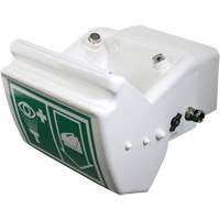 Douche oculaire/faciale, Installation Montage mural, Bol Plastique GTA Hardware Inc