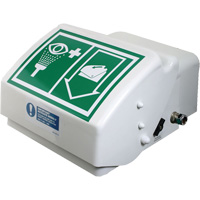 Douche oculaire/faciale, Installation Montage mural, Bol Plastique GTA Hardware Inc