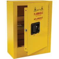 Mini Flammable Safety Cabinet, 2 Gal., 1 Door, 17" W x 22" H x 8" D GTA Hardware Inc