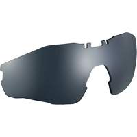 Lentille de rechange pour lunettes de s&eacute;curit&eacute; MY6, Antibu&eacute;e/Anti-&eacute;gratignures, Gris/Fum&eacute;e, MY6 GTA Hardware Inc