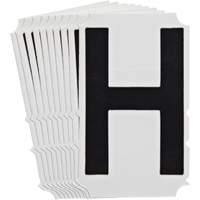 Quick-Align&reg;Individual Gothic Number and Letter Labels, H, 4" H, Black GTA Hardware Inc
