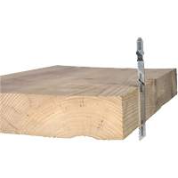 Lame de scie alternative pour la coupe du bois, Acier &agrave; haute teneur en carbone, Tige en T, 4" lo, 10 dents par pouce GTA Hardware Inc