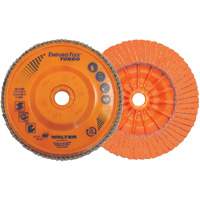 Enduro-Flex Turbo Flap Disc, 4-1/2" x 5/8"-11, 36/60 Grit GTA Hardware Inc