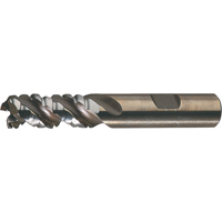 PM Plus Single End Roughers, Powder Metal, 3-Flute, Centre Cutting, Square End, 3/4" Dia. GTA Hardware Inc