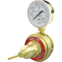 Medium-to-Heavy-Duty Pipeline Regulator, Propane, 1/4" NPT(F) Port Inlet GTA Hardware Inc