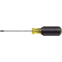 Tournevis Klein a/manche caoutchout&eacute;-Tournevis Torx &agrave; tige ronde GTA Hardware Inc
