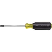 Tournevis Klein a/manche caoutchout&eacute;-Tournevis Torx &agrave; tige ronde GTA Hardware Inc