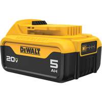Bloc-piles Max XR Premium, Lithium-ion, 20 V, 5 A GTA Hardware Inc