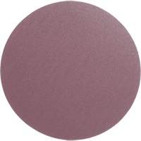 PSA Cloth Disc 348D, 12" Dia., 60 Grit, Aluminum Oxide, X-Weight GTA Hardware Inc