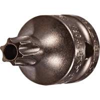Socket Bit, Torx&reg; Tamper, 8 x 3/4" L, 1/4" Drive GTA Hardware Inc