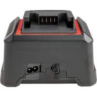 Chargeur de batterie 2,5 Ah et 5,0 Ah, 120 V, Lithium-ion GTA Hardware Inc
