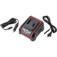 Chargeur de batterie 2,5 Ah et 5,0 Ah, 120 V, Lithium-ion GTA Hardware Inc