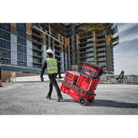 Coffre &agrave; outils roulant Packout, 15-4/5" x 34" x 28", Rouge GTA Hardware Inc