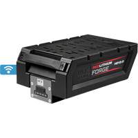Bloc-pile HD12.0 MX Fuel RedLithium Forge GTA Hardware Inc