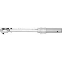 JITW-14250 Cl&eacute;s dynamom&eacute;triques industrielles, &agrave; cliquer, Entraînement 1/4" carr&eacute;, 50 - 250 lb-po GTA Hardware Inc