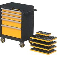 Mechanics Tool Set in Modular Foam Trays with Storage Unit, 247 Pieces GTA Hardware Inc