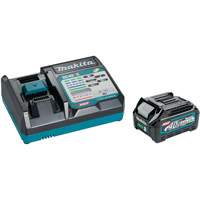 40Vmax XGT 2.5Ah Battery & Fast Charger Starter Kit, 40 V, Lithium-Ion GTA Hardware Inc