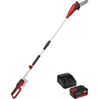Cordless Pole Chain Saw with 4Ah Battery & Charger Starter Kit GTA Hardware Inc