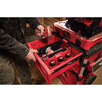 Diviseur pour boîtes &agrave; outils &agrave; tiroirs Packout GTA Hardware Inc