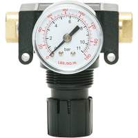 D&eacute;tendeur &agrave; piston en ac&eacute;tal MODULAIR 200, 1/4" NPT, PSI max. de 150 psi, Canalisation/Modulaire GTA Hardware Inc