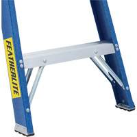 Industrial Duty Stepladders (6300 Series), 4', Fibreglass, 250 lbs. Capacity, Type 1 GTA Hardware Inc