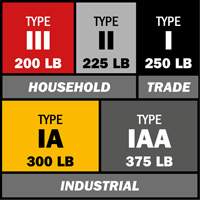 Escabeau avec plateau &agrave; peinture, 10', Aluminium, Capacit&eacute; 225 lb, Type 2 GTA Hardware Inc