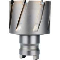 Fraise avec tenon &agrave; changement rapide Drive Hawg, Diam&egrave;tre de 2", Acier, Profondeur de la coupe de 1" GTA Hardware Inc