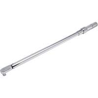 Cl&eacute; dynamom&eacute;trique microm&eacute;trique &agrave; t&ecirc;te fixe, &agrave; cliquer, Entraînement 1/2" carr&eacute;, 50-250 lb-pi GTA Hardware Inc