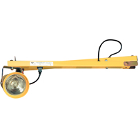 Dock Lights, 60" Arm, Incandescent Lamp, Metal GTA Hardware Inc