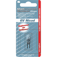 Ampoule de rechange pour lampe de poche rechargeable GTA Hardware Inc