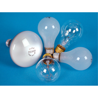 LAMPE INCANDESCENTE,25W,130V,GIVREE,2/PQT GTA Hardware Inc