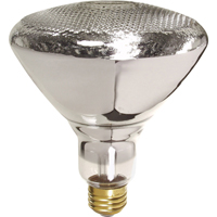 Lampes &agrave; incandescence &eacute;conomiques GTA Hardware Inc