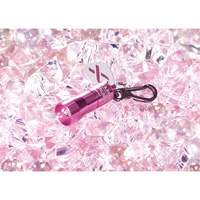 Lampes de poche Nano Light GTA Hardware Inc
