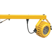 Heavy-Duty Loading Dock Lights, 24" Arm, 300 W, LED Lamp, Metal GTA Hardware Inc