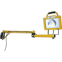 Heavy-Duty Dock Light, 40" Arm, 38 W, LED Lamp, Metal GTA Hardware Inc