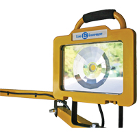 Heavy-Duty Dock Light, 40" Arm, 38 W, LED Lamp, Metal GTA Hardware Inc