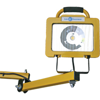Heavy-Duty Dock Light, 40" Arm, 38 W, LED Lamp, Metal GTA Hardware Inc