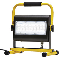 Flood Light, LED, 50 W, 4800 Lumens, Aluminum Housing GTA Hardware Inc