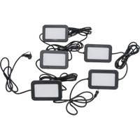 LED String Work Lights, 5 Lights, 50' L, Plastic Housing GTA Hardware Inc